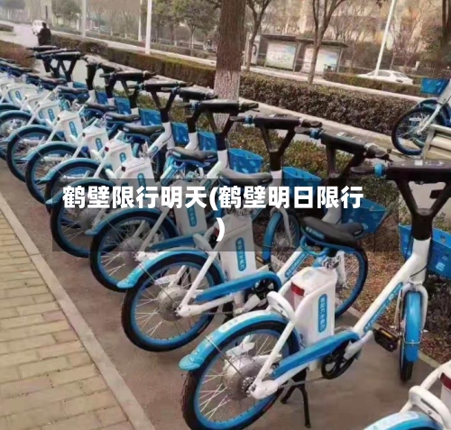 鹤壁限行明天(鹤壁明日限行)-第3张图片