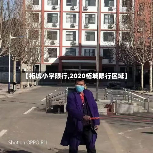 【柘城小学限行,2020柘城限行区域】