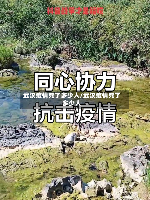 武汉疫情死了多少人/武汉疫情死了多少人