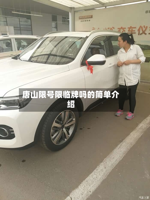 唐山限号限临牌吗的简单介绍-第3张图片