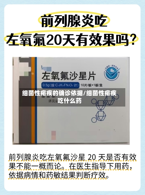细菌性疟疾的确诊依据/细菌性疟疾吃什么药-第2张图片