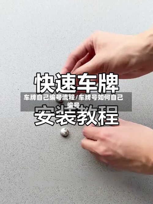 车牌自己编号流程/车牌号如何自己编号-第2张图片