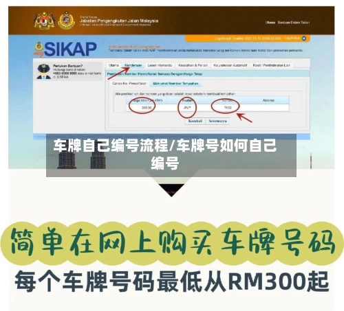 车牌自己编号流程/车牌号如何自己编号-第3张图片