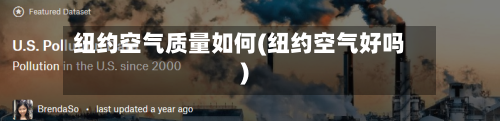 纽约空气质量如何(纽约空气好吗)-第2张图片