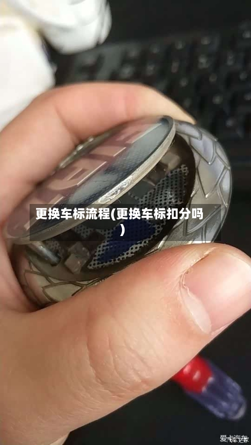 更换车标流程(更换车标扣分吗)