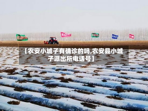 【农安小城子有确诊的吗,农安县小城子派出所电话号】