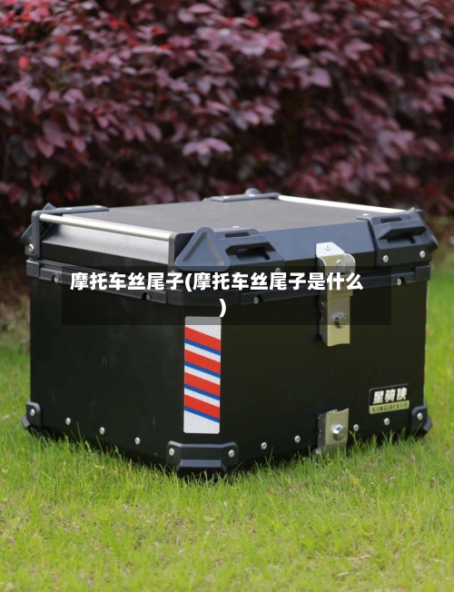 摩托车丝尾子(摩托车丝尾子是什么)