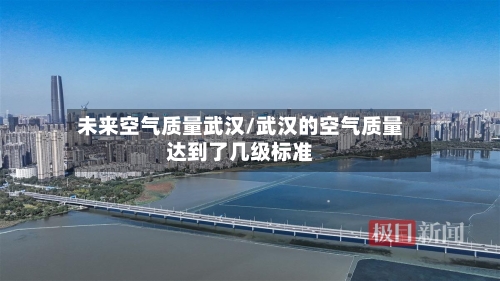 未来空气质量武汉/武汉的空气质量达到了几级标准-第3张图片