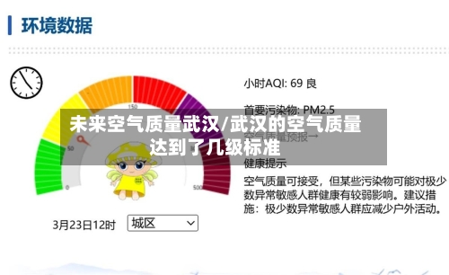 未来空气质量武汉/武汉的空气质量达到了几级标准-第2张图片