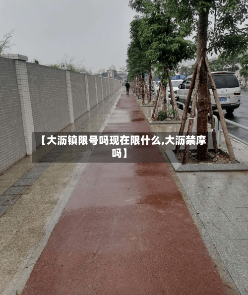 【大沥镇限号吗现在限什么,大沥禁摩吗】-第2张图片