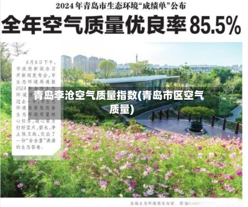 青岛李沧空气质量指数(青岛市区空气质量)-第2张图片