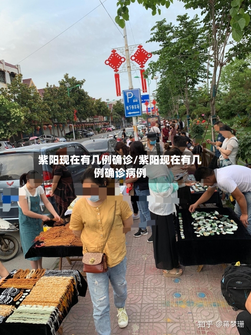 紫阳现在有几例确诊/紫阳现在有几例确诊病例-第2张图片