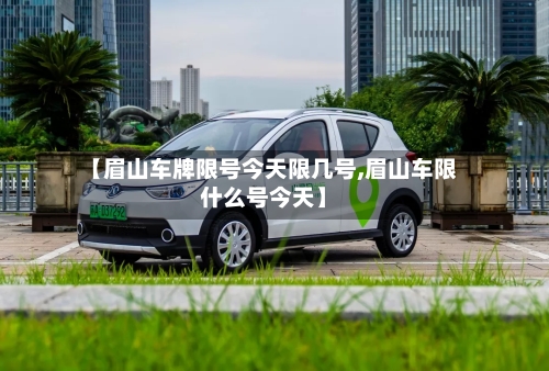 【眉山车牌限号今天限几号,眉山车限什么号今天】-第3张图片