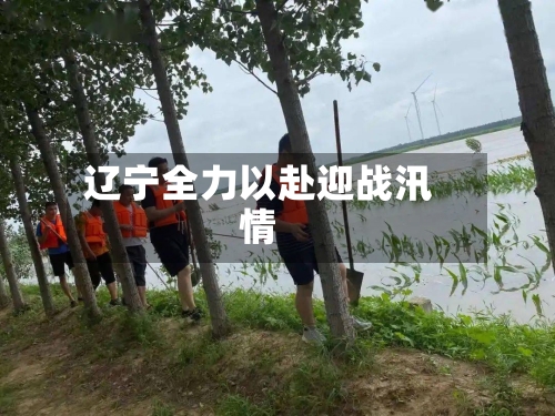 辽宁全力以赴迎战汛情-第2张图片
