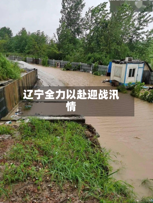 辽宁全力以赴迎战汛情