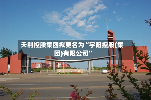 天利控股集团拟更名为“宇阳控股(集团)有限公司”-第2张图片