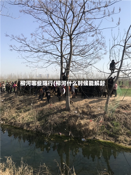 柳河哪些限行(柳河什么时候能解封)-第3张图片