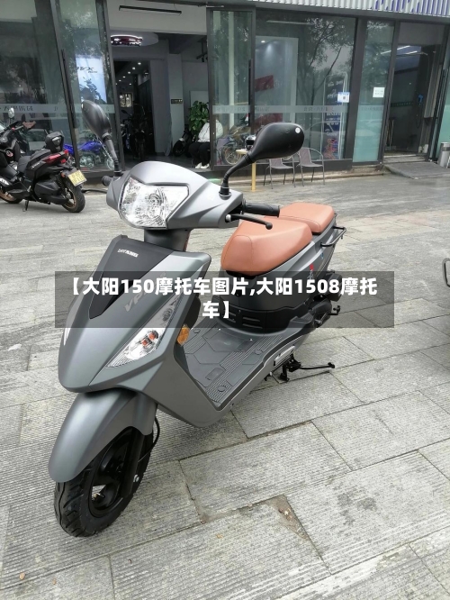 【大阳150摩托车图片,大阳1508摩托车】-第3张图片
