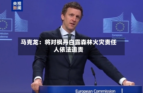 马克龙：将对枫丹白露森林火灾责任人依法追责