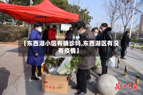 【东西湖小区有确诊吗,东西湖区有没有疫情】