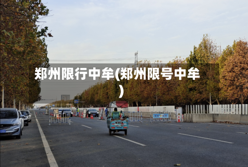 郑州限行中牟(郑州限号中牟)