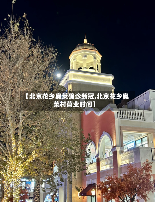 【北京花乡奥莱确诊新冠,北京花乡奥莱村营业时间】-第2张图片