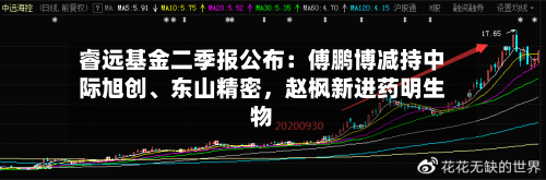 睿远基金二季报公布：傅鹏博减持中际旭创、东山精密	，赵枫新进药明生物-第2张图片
