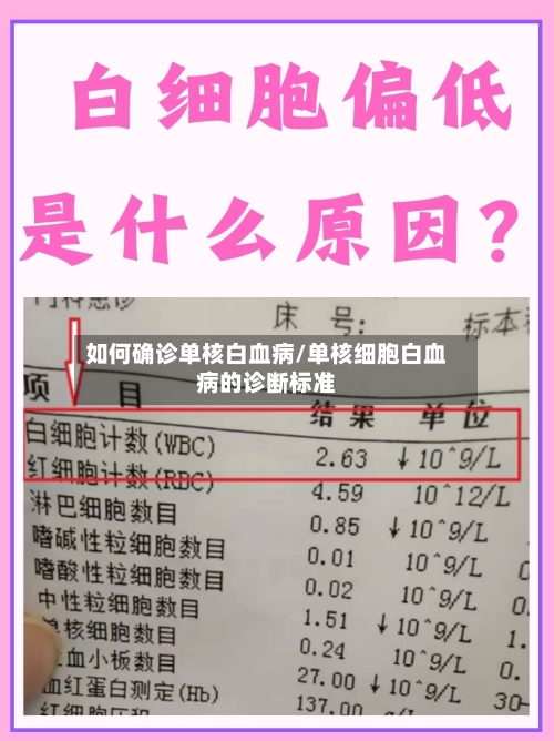 如何确诊单核白血病/单核细胞白血病的诊断标准-第2张图片