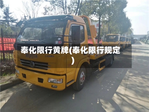 奉化限行黄牌(奉化限行规定)-第3张图片