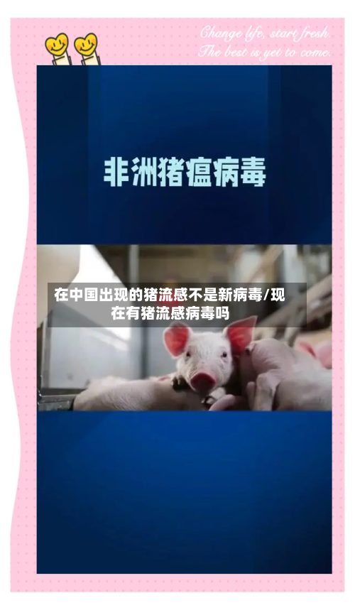 在中国出现的猪流感不是新病毒/现在有猪流感病毒吗