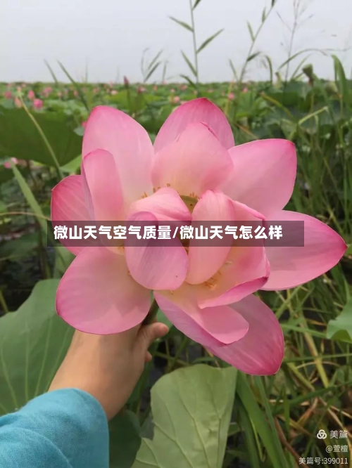微山天气空气质量/微山天气怎么样-第2张图片