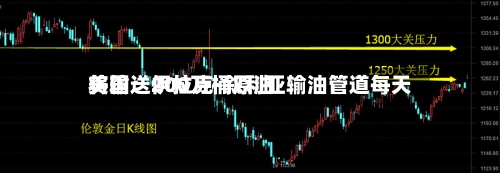 美国：伊拉克-叙利亚输油管道每天将输送200万桶原油-第2张图片