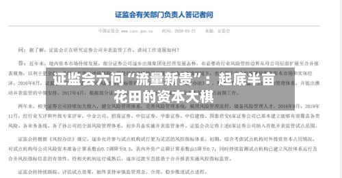 证监会六问“流量新贵	”：起底半亩花田的资本大棋-第3张图片