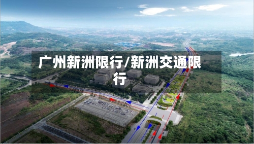 广州新洲限行/新洲交通限行