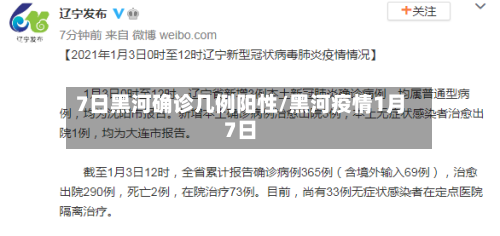 7日黑河确诊几例阳性/黑河疫情1月7日-第2张图片