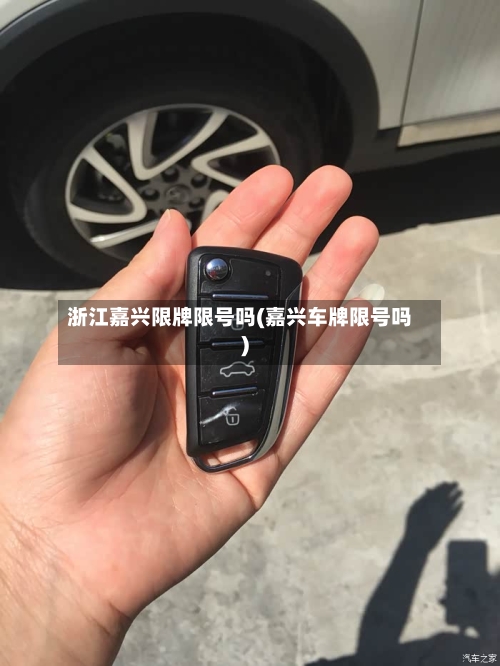浙江嘉兴限牌限号吗(嘉兴车牌限号吗)-第3张图片