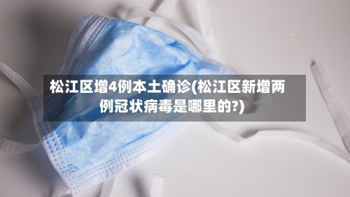 松江区增4例本土确诊(松江区新增两例冠状病毒是哪里的?)-第3张图片