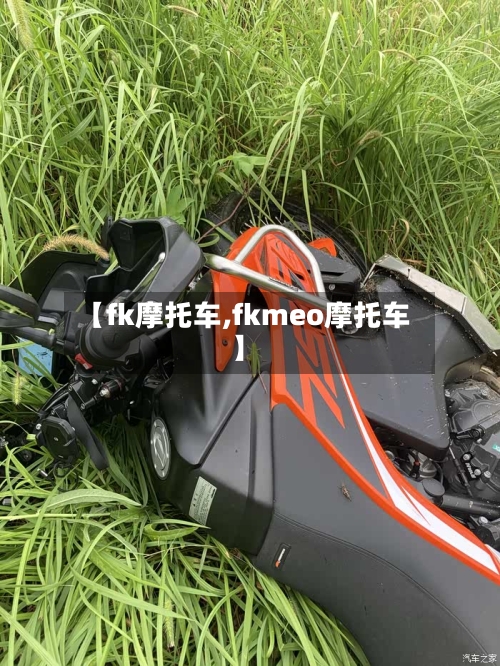 【fk摩托车,fkmeo摩托车】-第3张图片