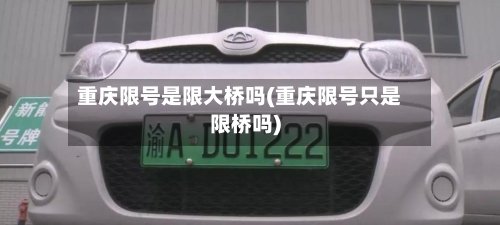 重庆限号是限大桥吗(重庆限号只是限桥吗)-第3张图片