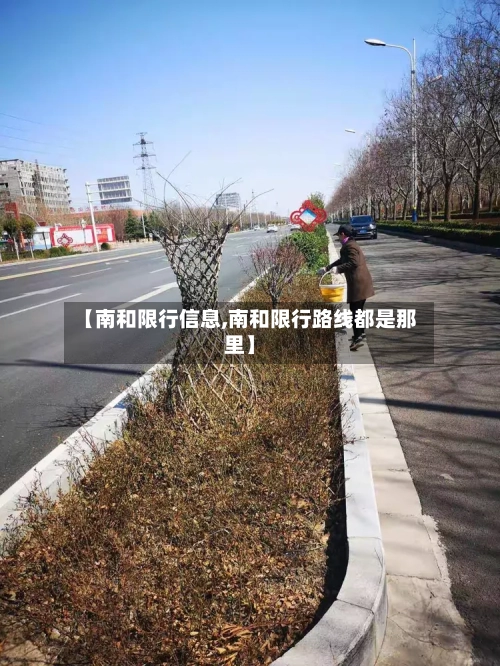 【南和限行信息,南和限行路线都是那里】-第2张图片
