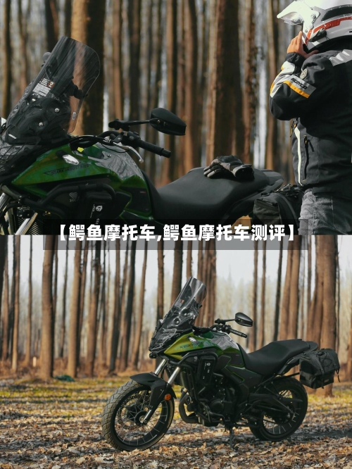 【鳄鱼摩托车,鳄鱼摩托车测评】