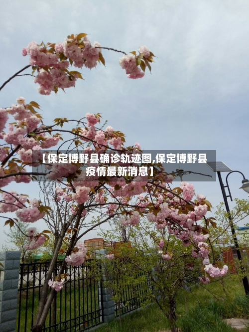 【保定博野县确诊轨迹图,保定博野县疫情最新消息】