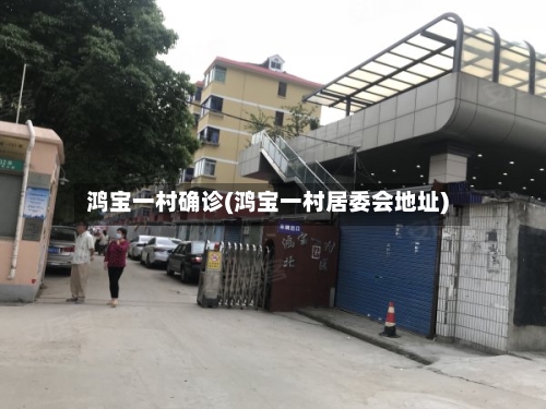鸿宝一村确诊(鸿宝一村居委会地址)-第2张图片