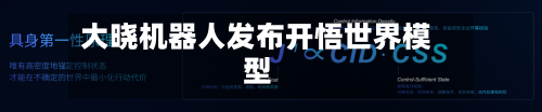 大晓机器人发布开悟世界模型-第2张图片