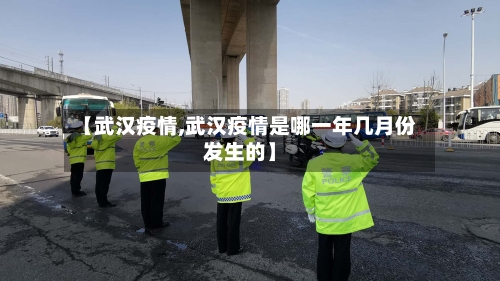 【武汉疫情,武汉疫情是哪一年几月份发生的】-第2张图片
