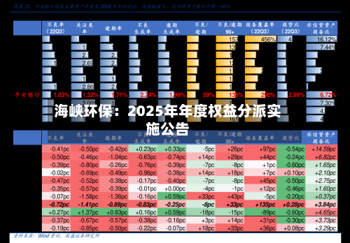 海峡环保:2025年年度权益分派实施公告