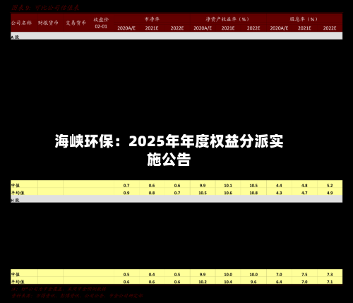 海峡环保:2025年年度权益分派实施公告-第2张图片