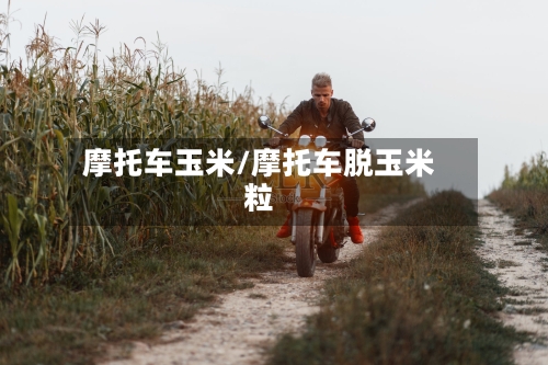 摩托车玉米/摩托车脱玉米粒