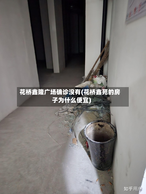 花桥鑫隆广场确诊没有(花桥鑫苑的房子为什么便宜)