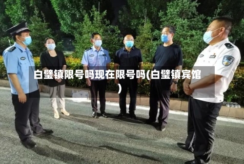 白璧镇限号吗现在限号吗(白璧镇宾馆)